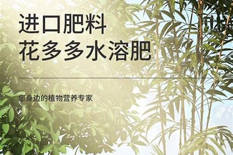 洋葱怎么施肥？洋葱种植方法及播种时间