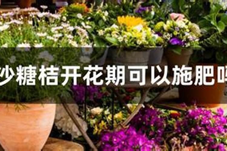 大棚草莓多久浇一次水