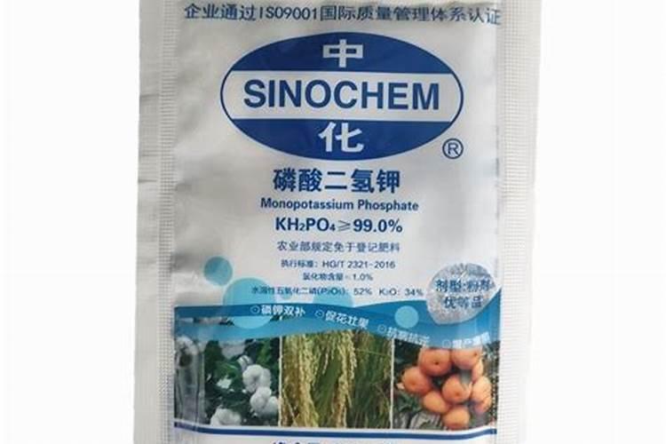 空心菜叶子黄了还可以吃吗