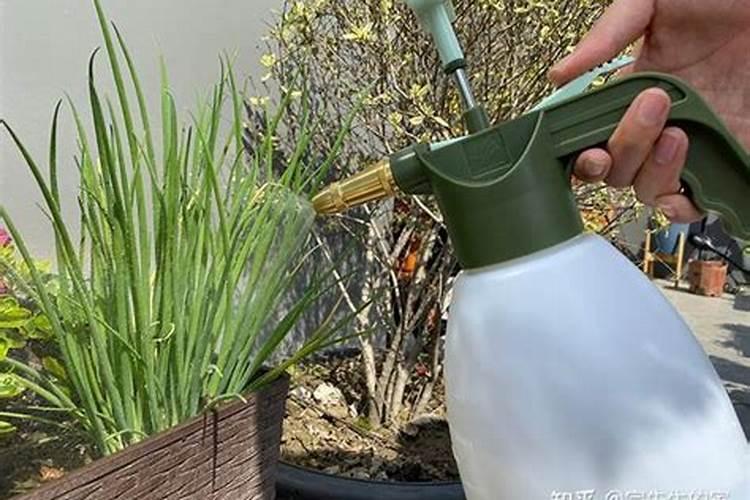 葫芦种子要开口才能发芽吗