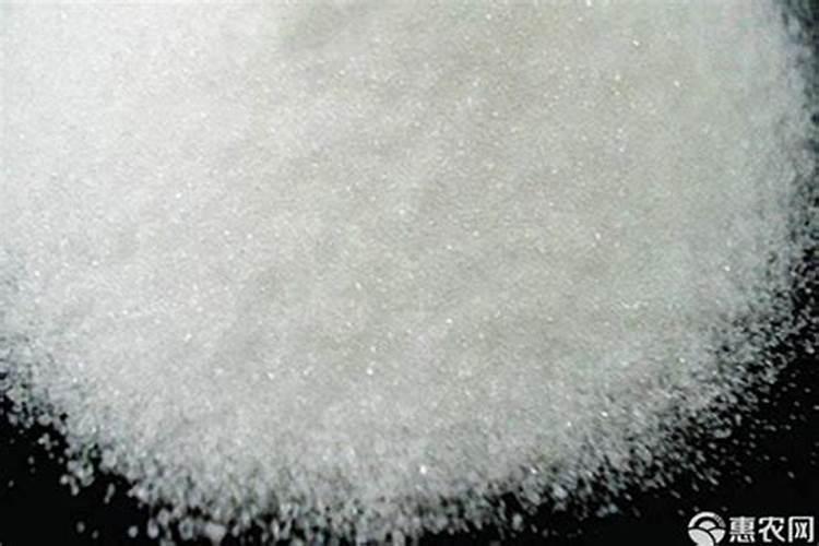 蟹爪兰能放在卧室吗