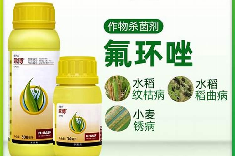 水溶肥冲上几天见效