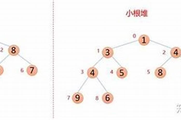 玉米什么时候打叶面肥好 使用方法有哪些