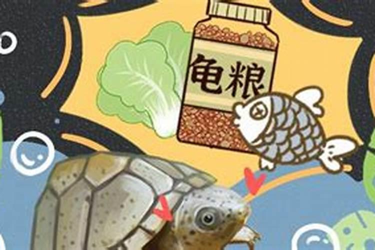 杀菌剂杀虫剂叶面肥混配顺序