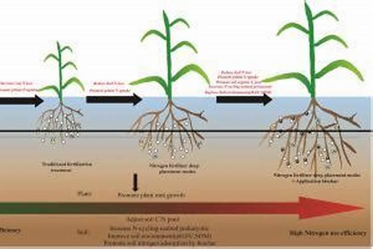 土壤修复 势在必行!
