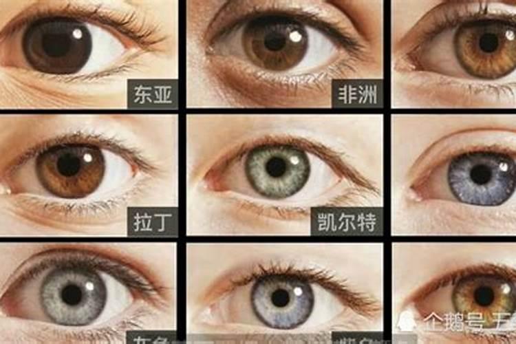 香蕉种植管理技术 香蕉生长应该注意什么