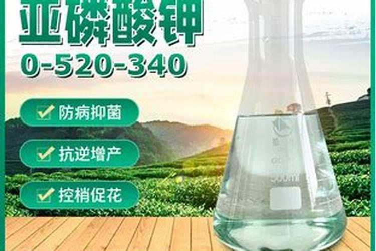 有机肥能为植物提供能量吗