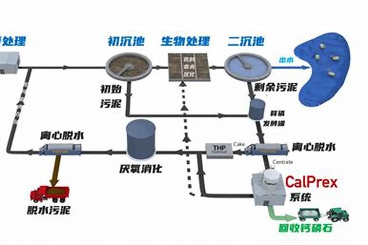 油菜花几月份开