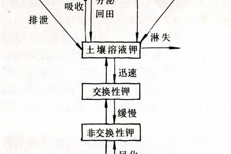 氯化钾在土壤中的转化有何特点？如何施用才能提高它的效肥？
