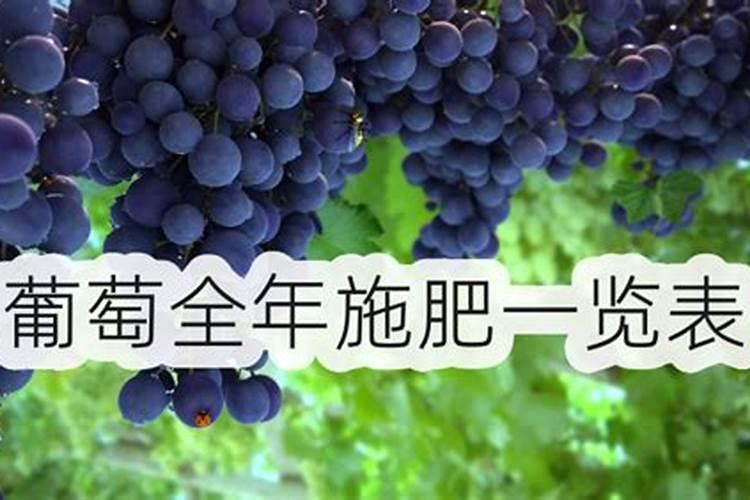 葡萄一年施肥时间表