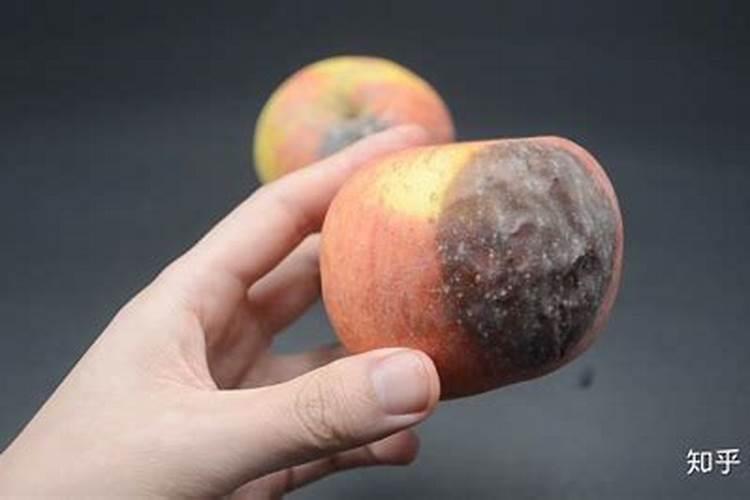 什么是苹果树腐烂病,有哪些类型？