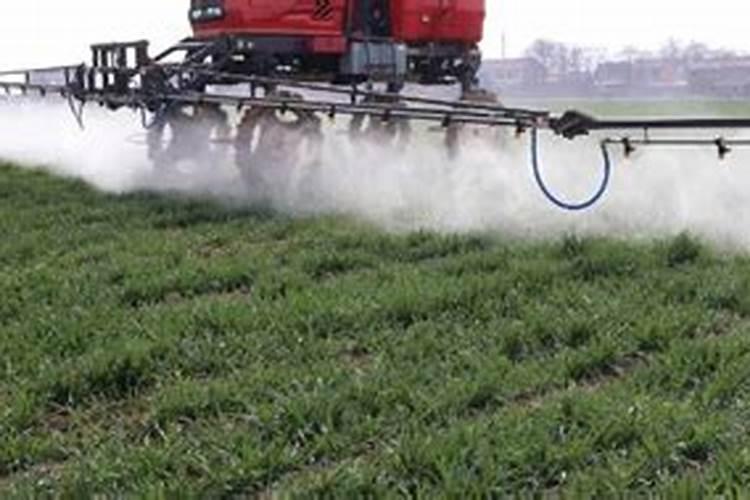 花生控旺后发黄怎么办