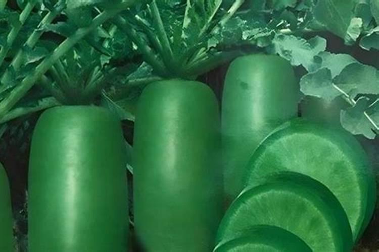 茄子连续开花结果有什么好办法 茄子生长条件有哪些