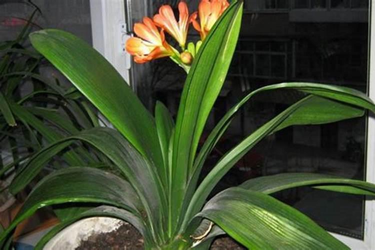 大家帮我推荐一下吧,中国最大的化肥厂～～