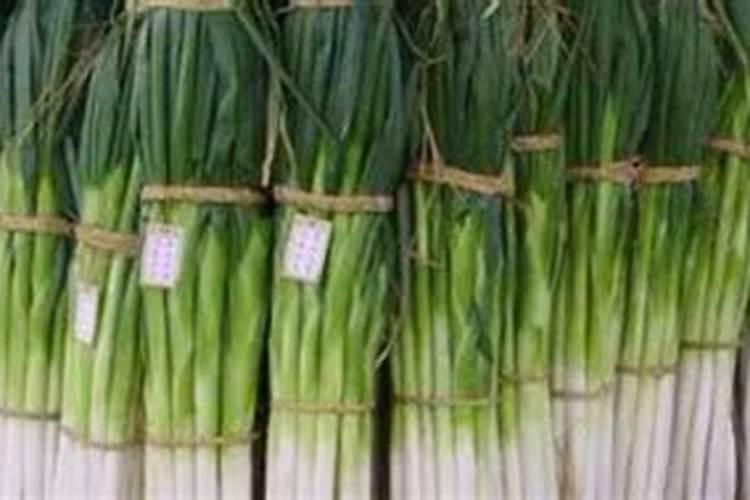 烤烟种植技术与方法