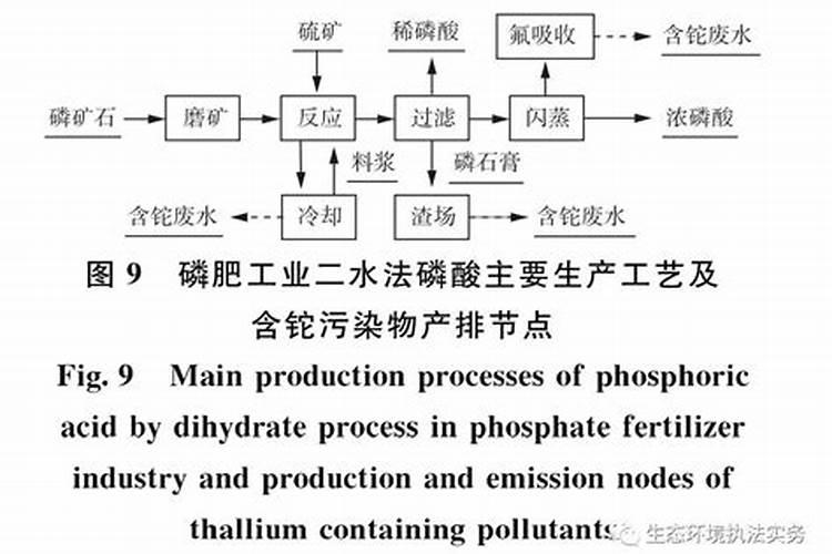漆树育苗的方法有哪些？