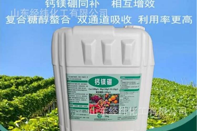 糖醇钙的最佳搭配