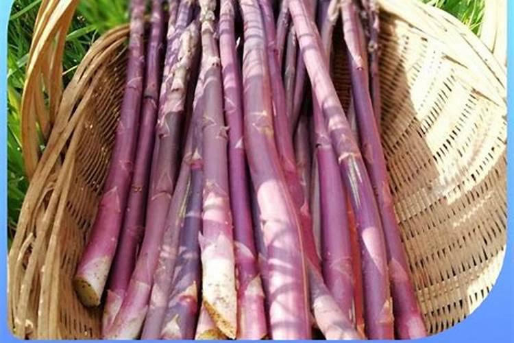 大棚蔬菜叶子发黄怎么办？