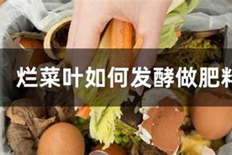 家庭种植蔬菜用什么做肥料？