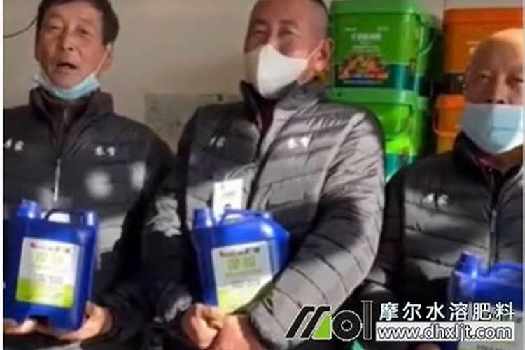 颗粒硼肥的正确使用方法