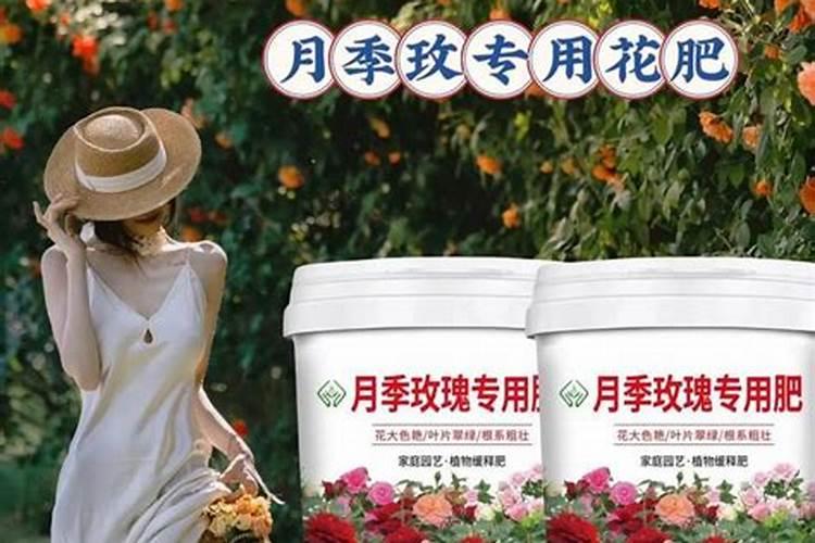 水稻分蘖肥用什么比例的复合肥好