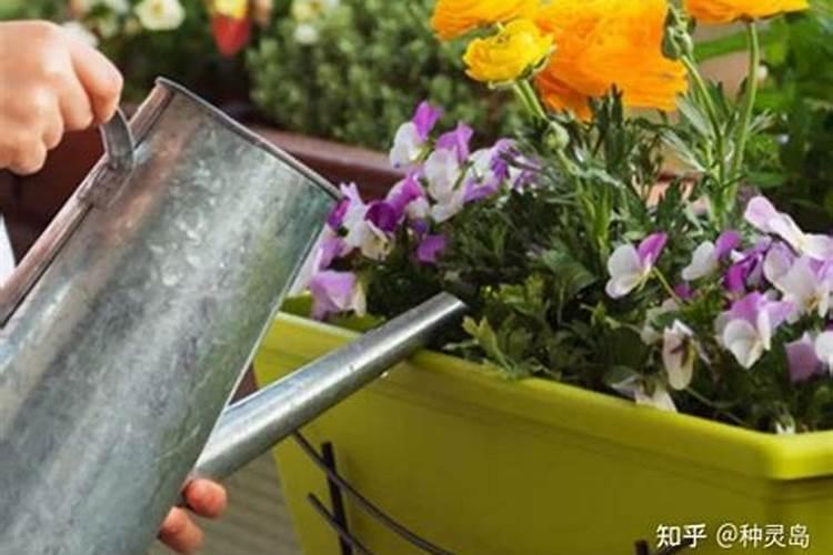 瓜果种植可以用罗布泊硫酸钾吗？