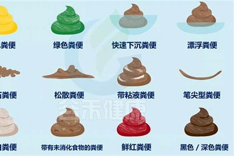 无根蝴蝶兰催根办法