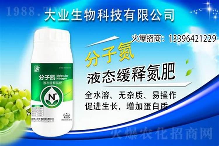 氨基酸在果树哪个时期用最佳