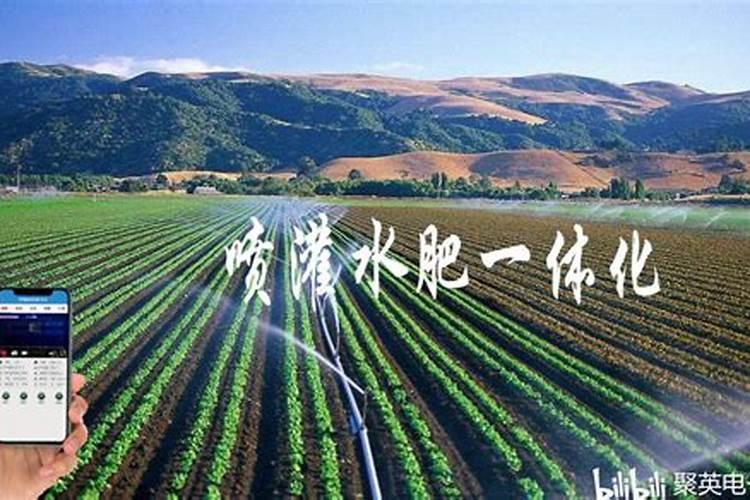 没想到海藻也能用来制作养花的肥料, 夏天的时候特别有用