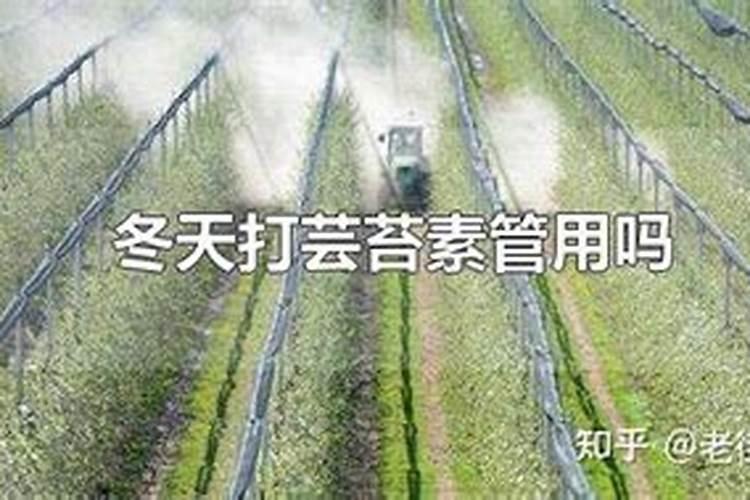 大量元素水溶肥种类繁多,你真的全都了解吗？