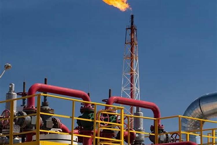 磷肥对植物有哪些影响？