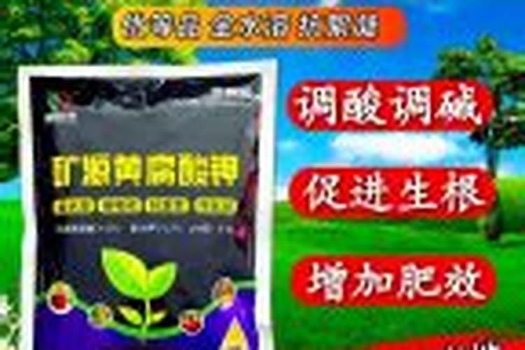 有些作物种植起来不需要怎么管理,哪些农作物适合懒人种植呢？