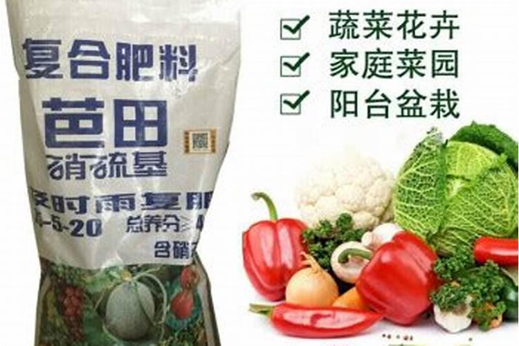 种菜用什么肥料好