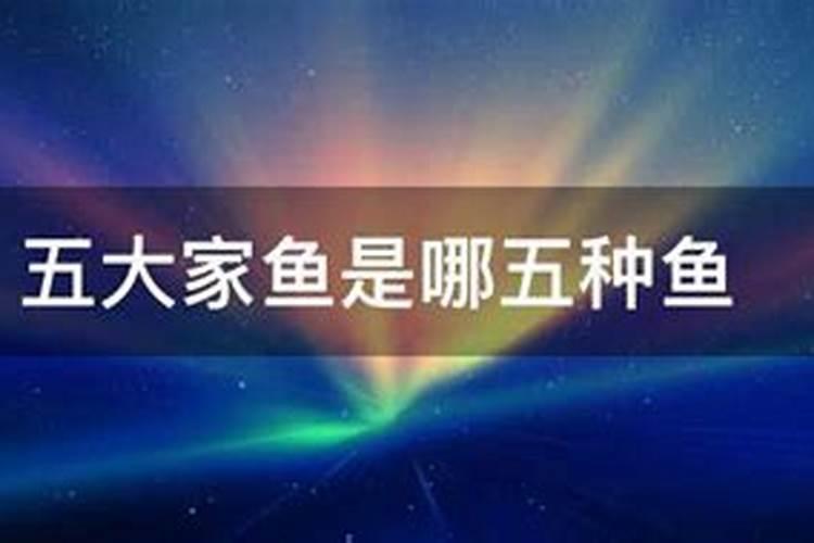 什么是鱼蛋白？鱼蛋白概念股有哪些？
