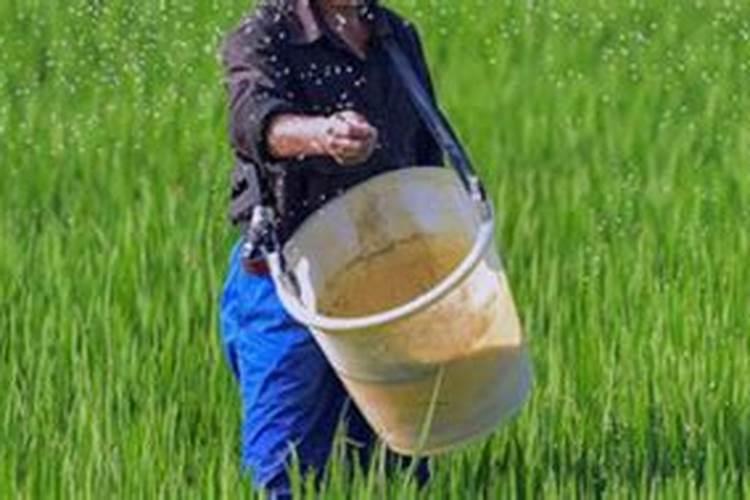 铜大师能和其他农药混合使用吗