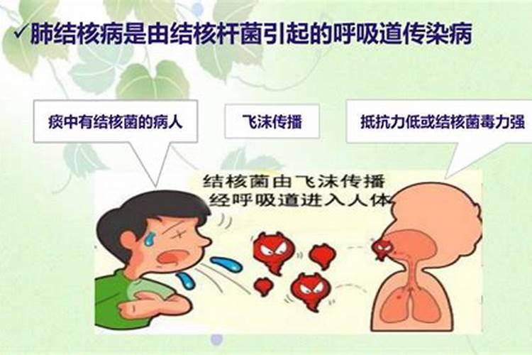 枣树追肥什么时间好、追哪些肥料