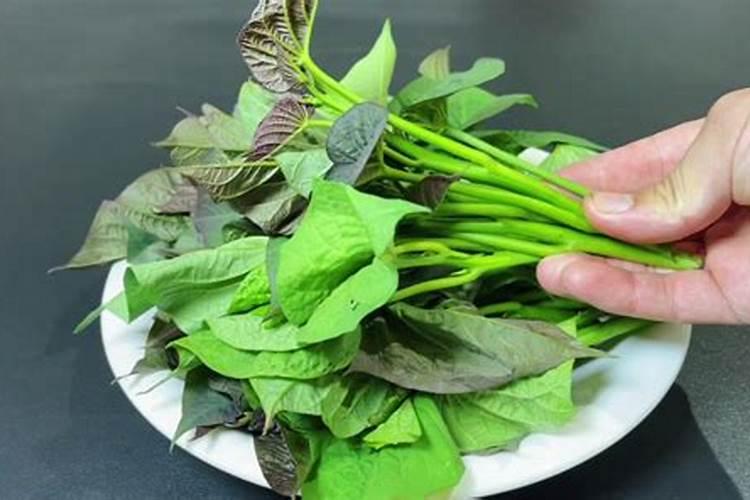 发财树施多少复合肥