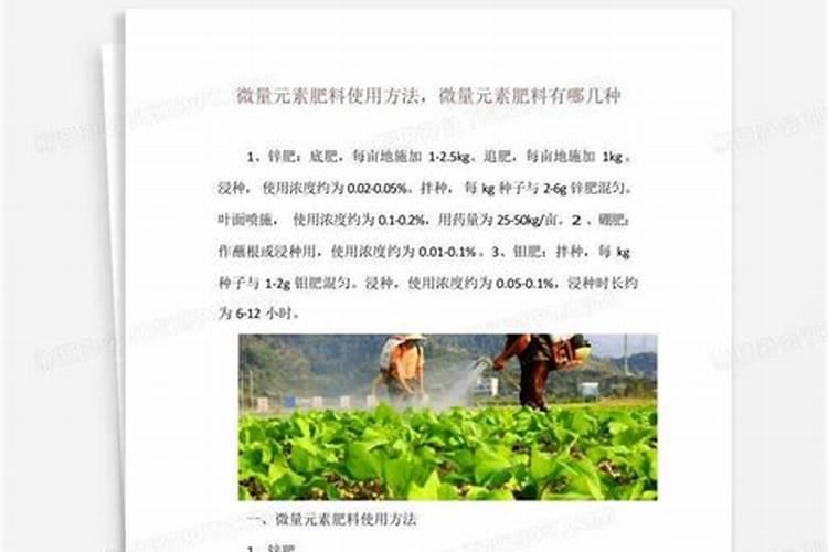 中微量元素肥料有哪些