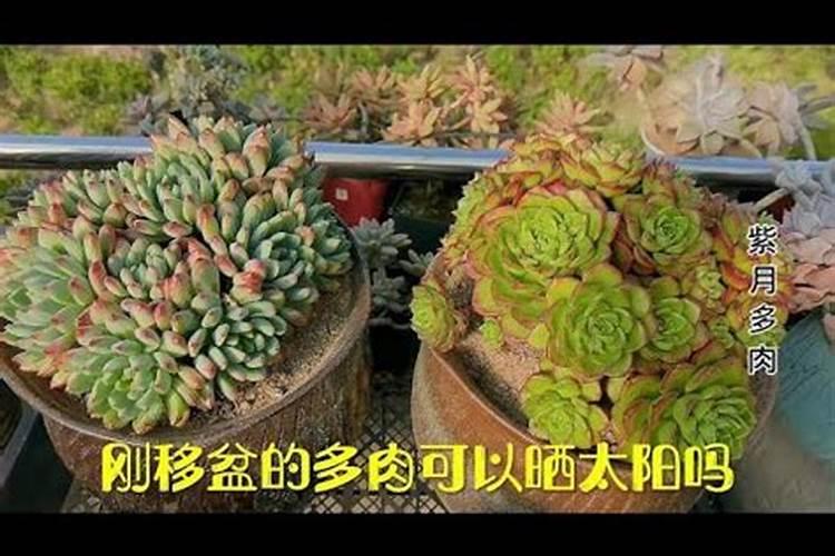 磷酸二氢钾和尿素混用的功效