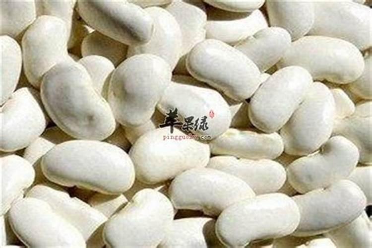 白扁豆(扁豆)有哪些特征？