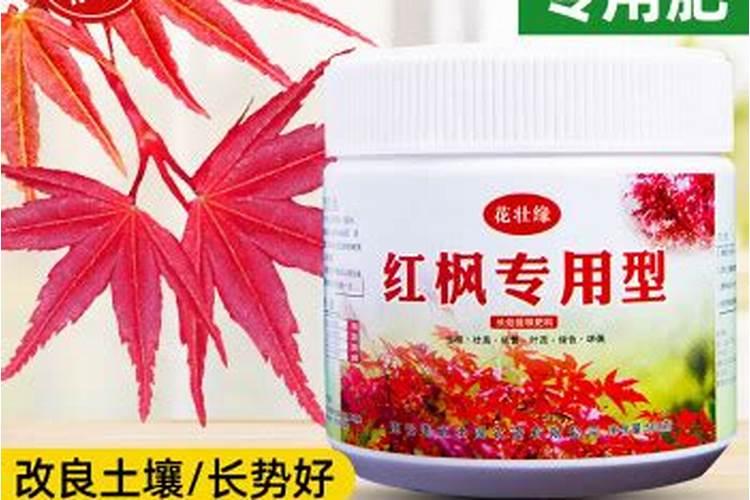 生姜苖期施什么化肥好 生姜怎么施肥