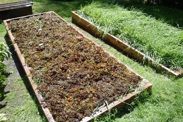 俄罗斯红钾肥可以施肥西瓜吗