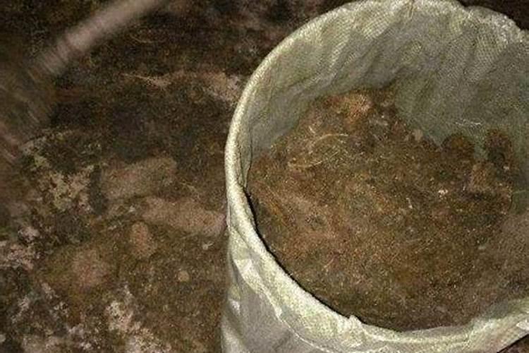 桃树应该什么时候施肥？