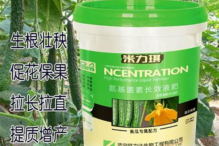 温室黄瓜使用什么水溶肥提高产量？