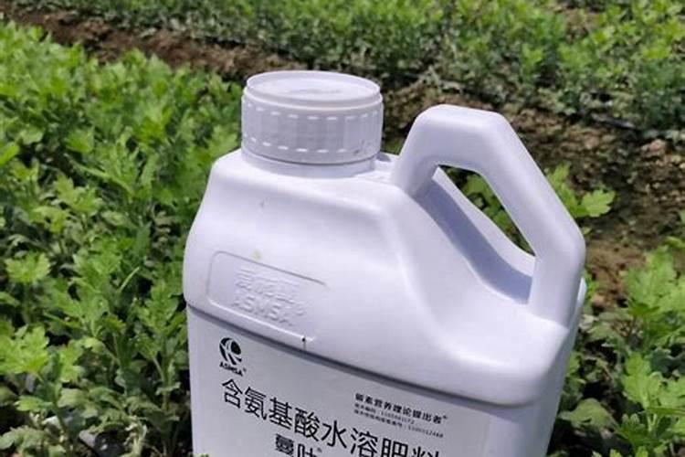 黄豆施什么肥比较好