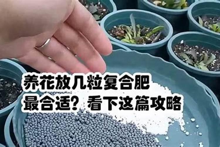 em菌液和黄腐酸钾水溶肥能一起用吗