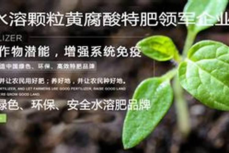 哪些肥料可以混合施用