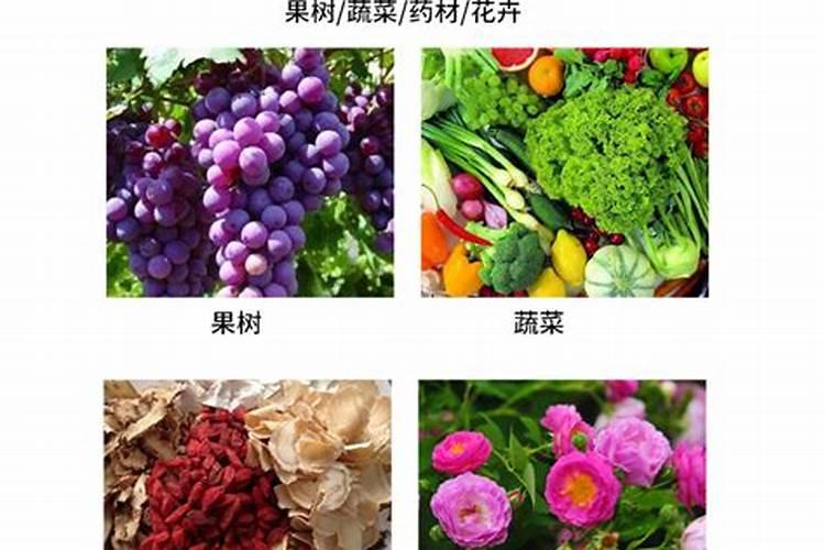 水溶肥的使用方法和注意事项 水溶肥有哪些