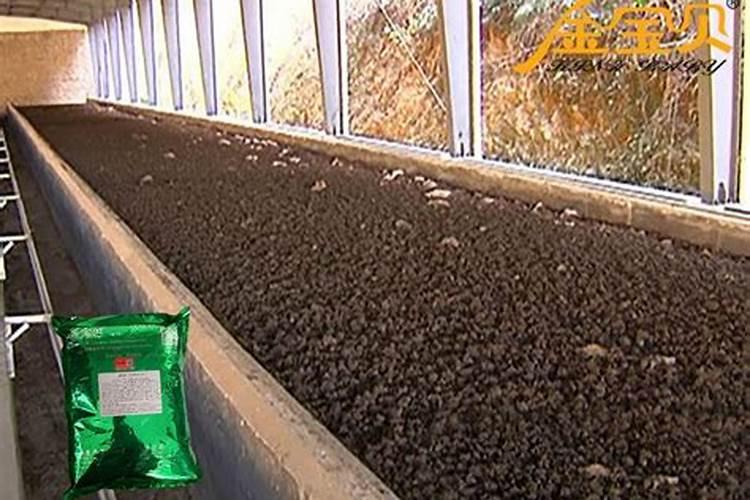 如何将动物粪便加工成肥料