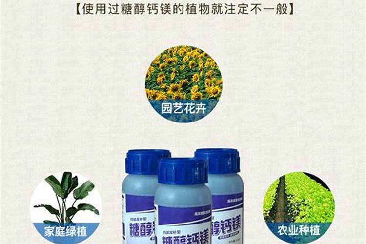 流体钙对植物的作用